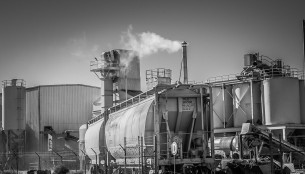 absorbe CO2