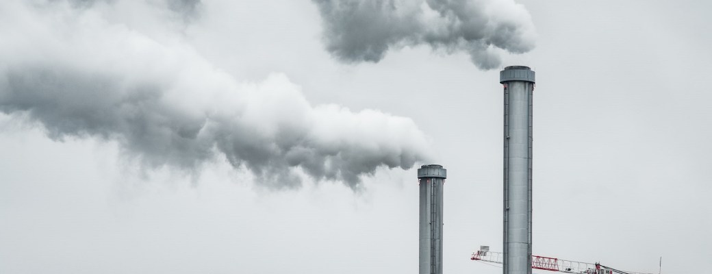 absorbe CO2