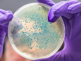 bacterias biopeliculas ondas de radio
