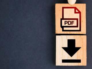 imprimir en pdf